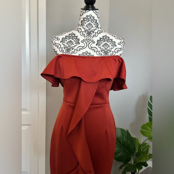 Bright Rusty Dress - Picture 3 of 4